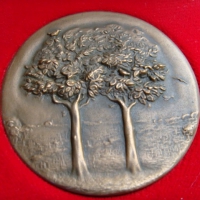 Медаль  Свадебная 1976 год Швеция