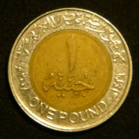 1 фунт 2008 год