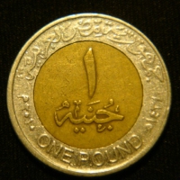 1 фунт 2010 год