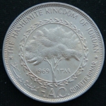 1\4 динара 1969 год Иордания ФАО